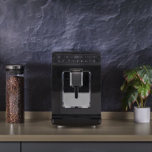 Texte alternatif de l'image