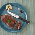 Couteau à Steak Ice Force Set de 4