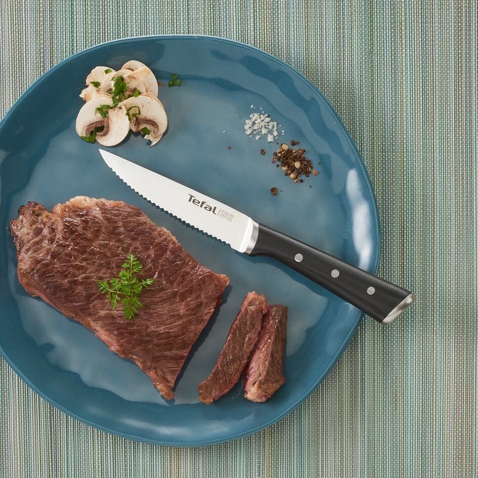 Couteau à Steak Ice Force Set de 4