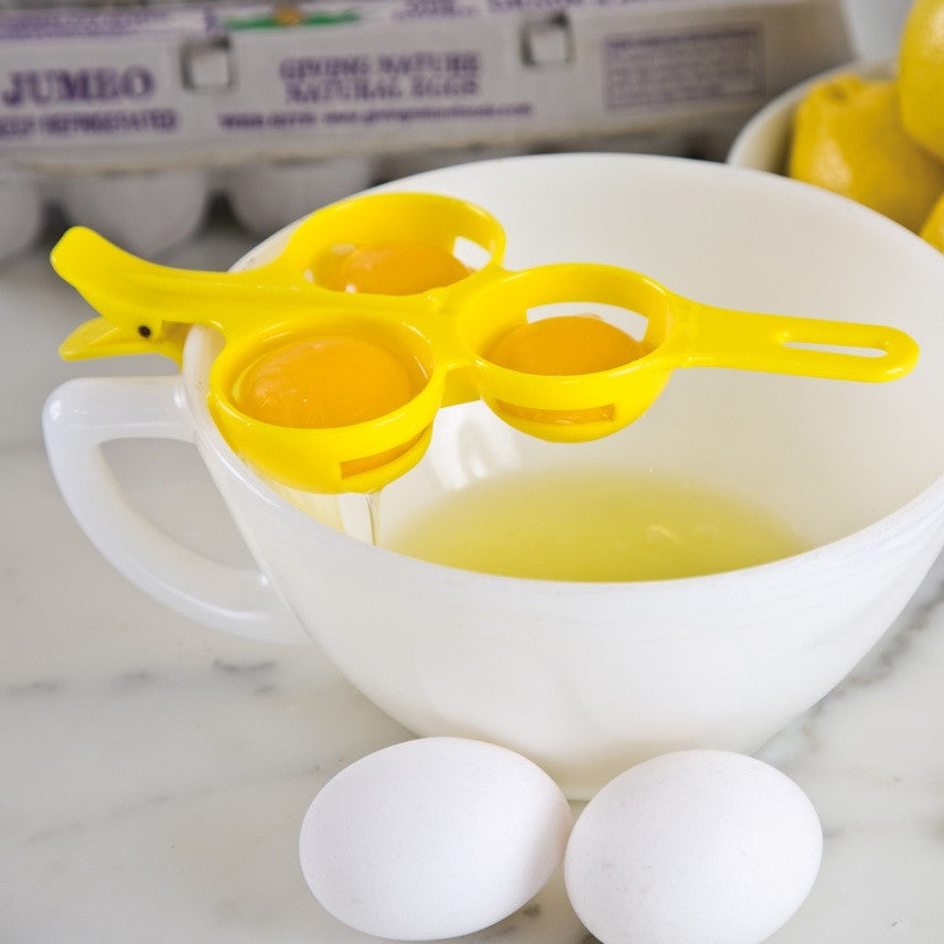 Texte alternatif de l'image