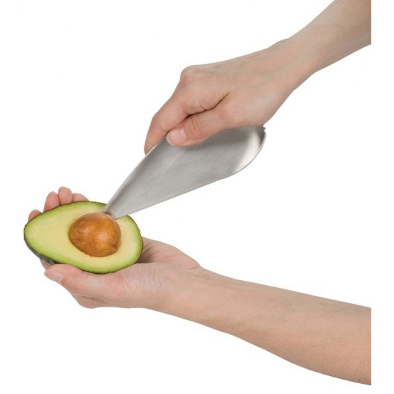 Texte alternatif de l'image