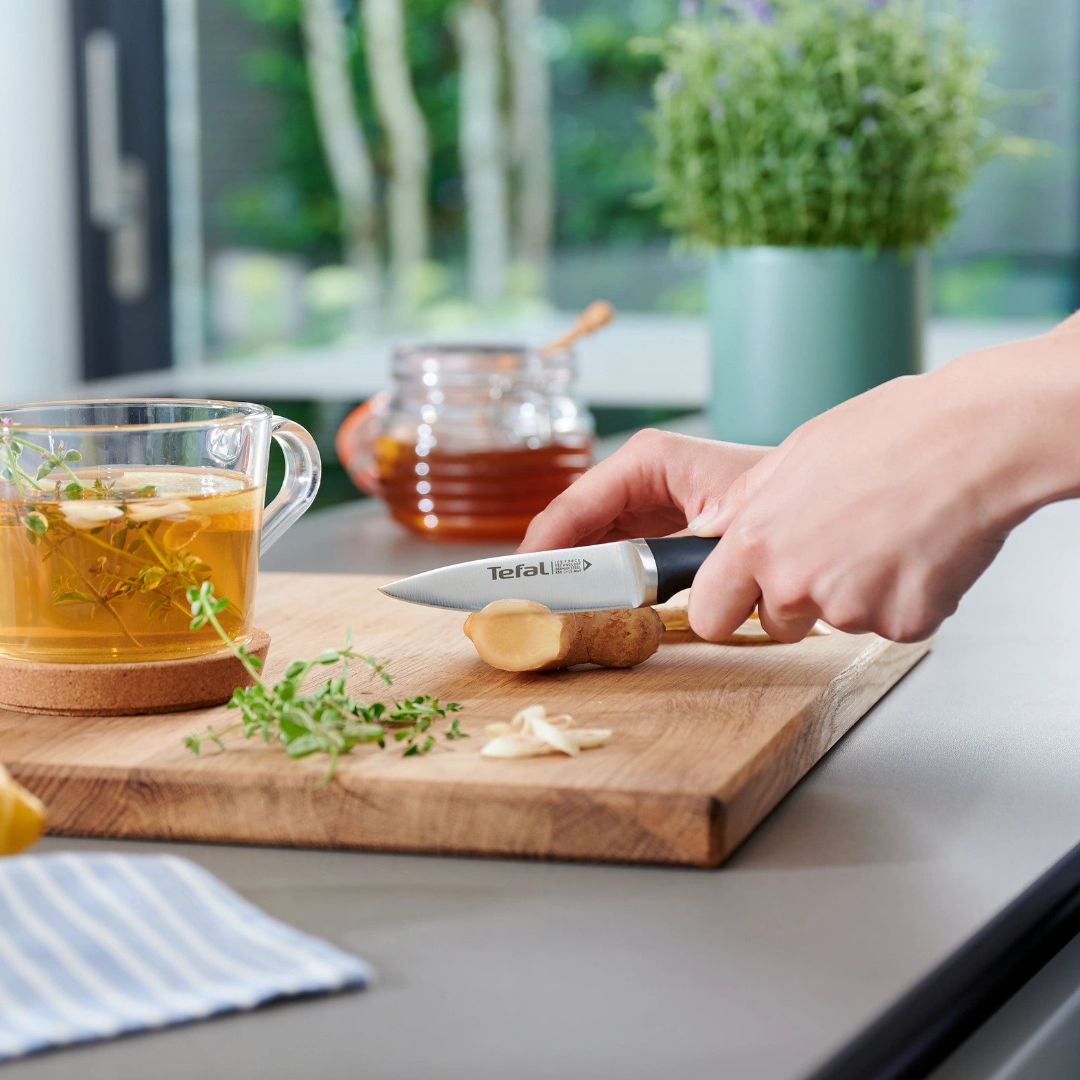 Texte alternatif de l'image