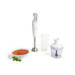 Mixeur Plongeant DailyChef 600W