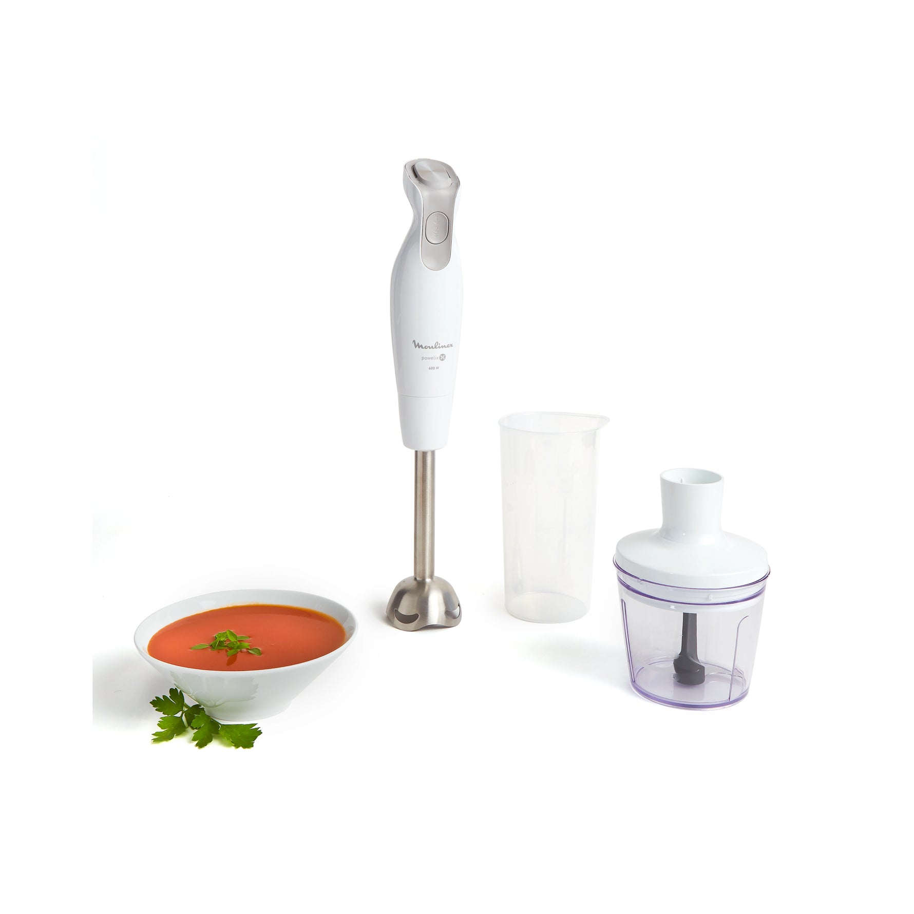 Mixeur Plongeant DailyChef 600W