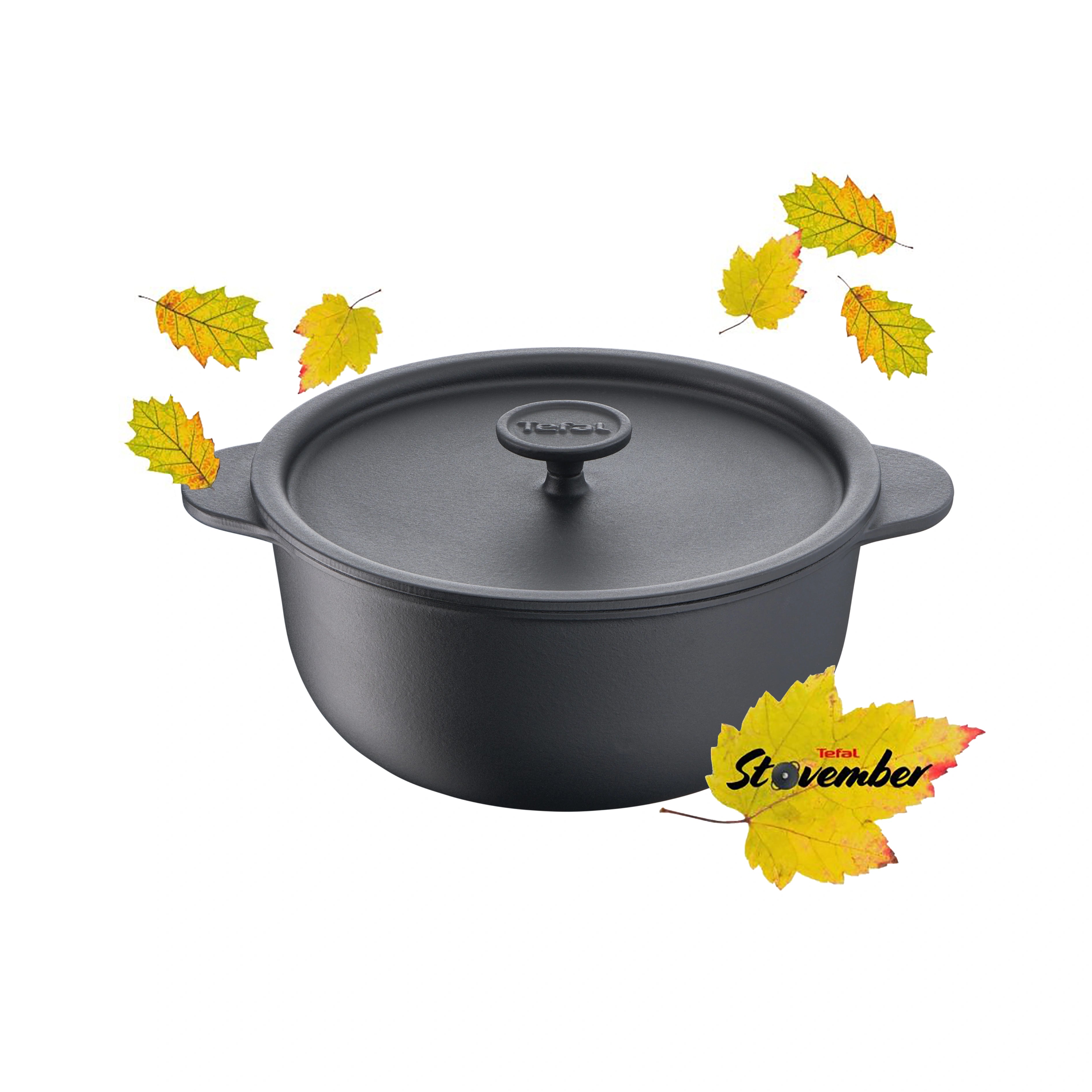 Texte alternatif de l'image