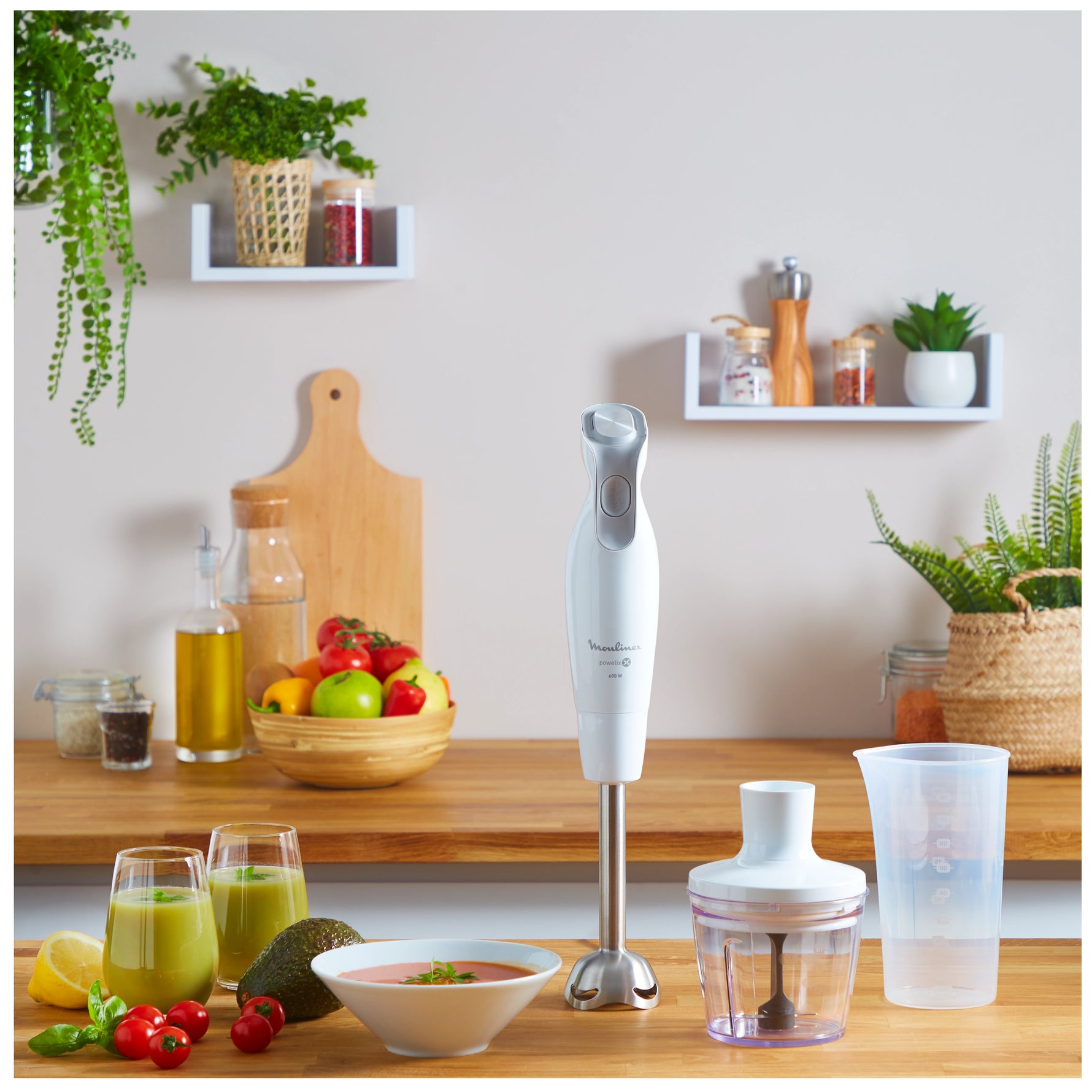 Mixeur Plongeant DailyChef 600W